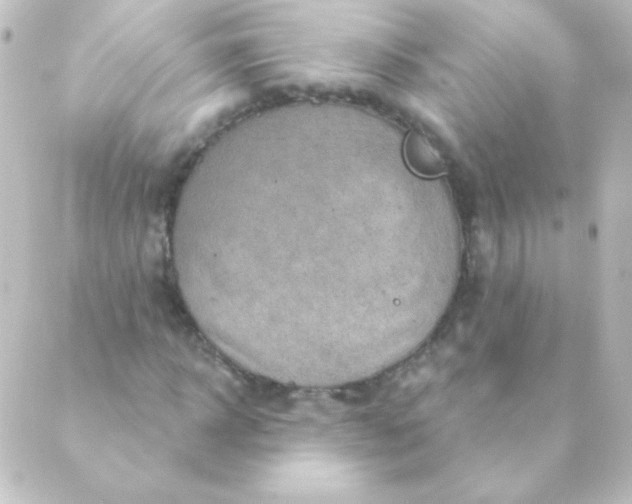 X0000088850918200706221656