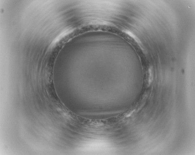 X0000088850919200706221656