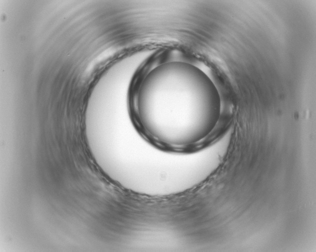 X0000088850920200706221656