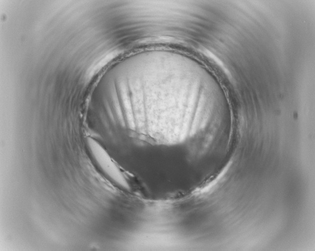 X0000088850921200706221656