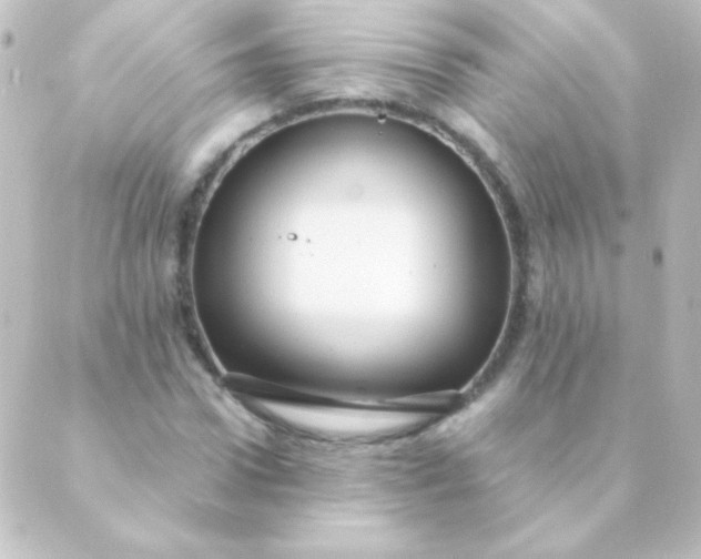 X0000088850922200706221656