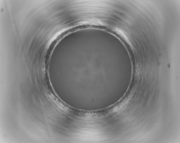 X0000088850923200706221656