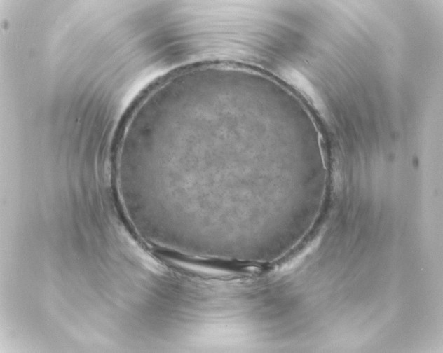 X0000088850924200706221656