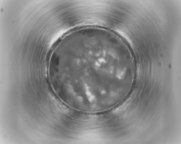 X0000088850925200706221656