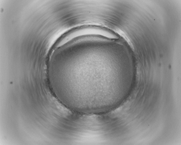 X0000088850926200706221656