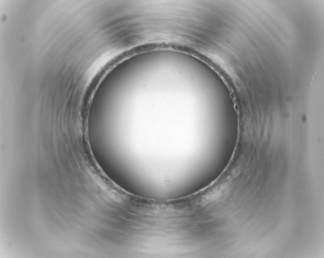 X0000088850927200706221656