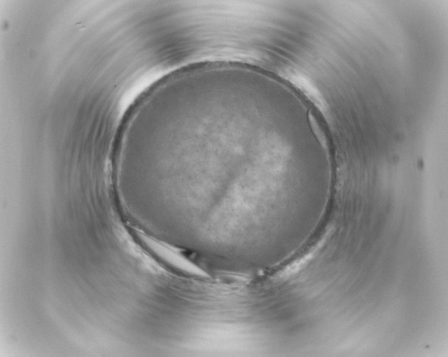 X0000088850928200706221656