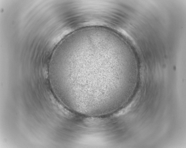 X0000088850929200706221656