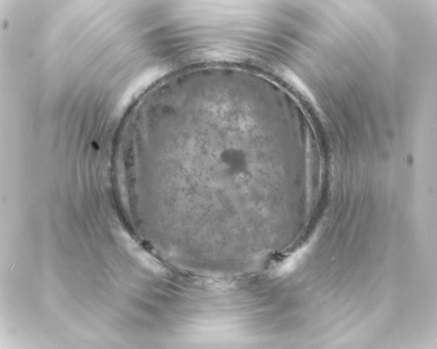 X0000088850930200706221656