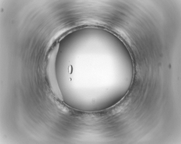 X0000088850931200706221656