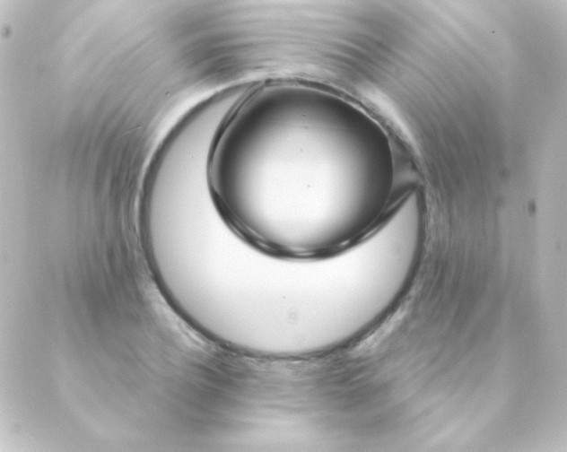 X0000088850932200706221656