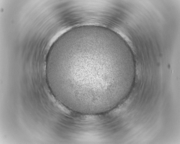 X0000088850933200706221656