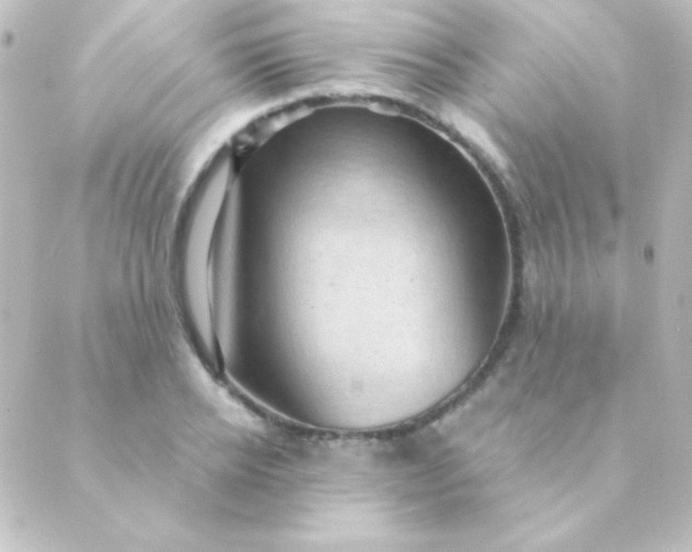 X0000088850934200706221656