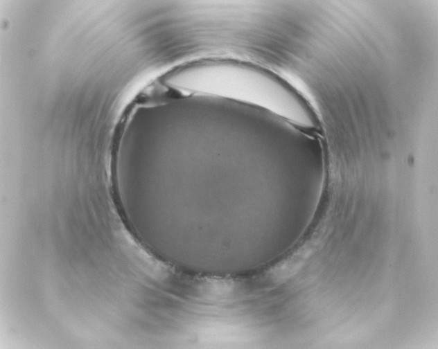 X0000088850935200706221656