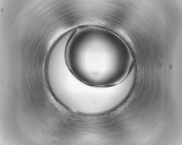 X0000088850936200706221656