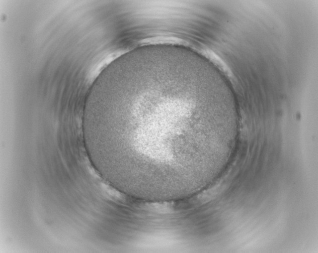 X0000088850937200706221656