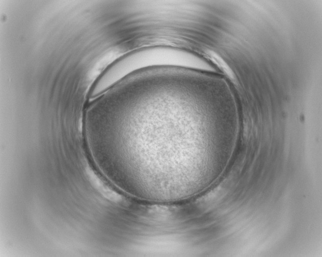 X0000088850938200706221657