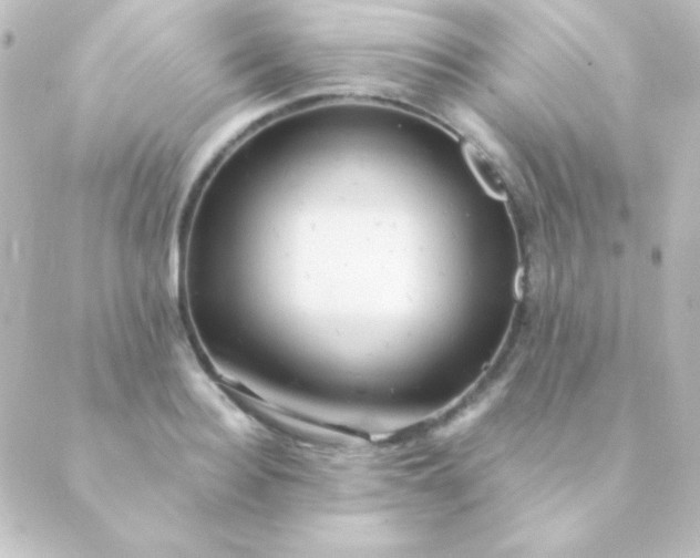 X0000088850940200706221657