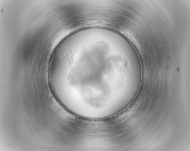 X0000088850941200706221657