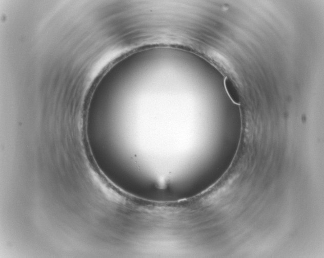 X0000088850942200706221657