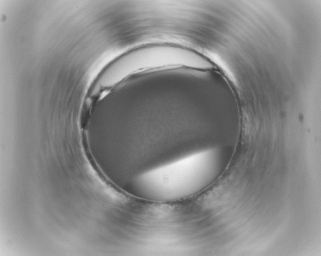 X0000088850943200706221657