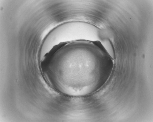 X0000088850944200706221657