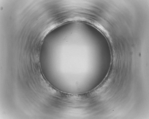 X0000088850945200706221657