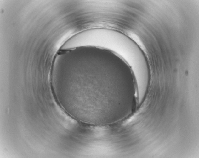 X0000088850946200706221657