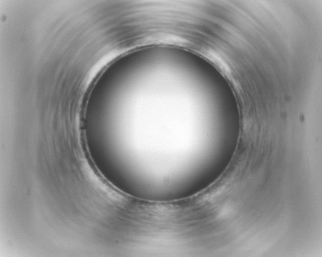 X0000088850947200706221657