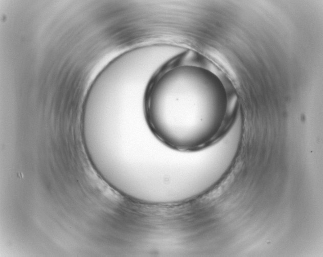 X0000088850948200706221657