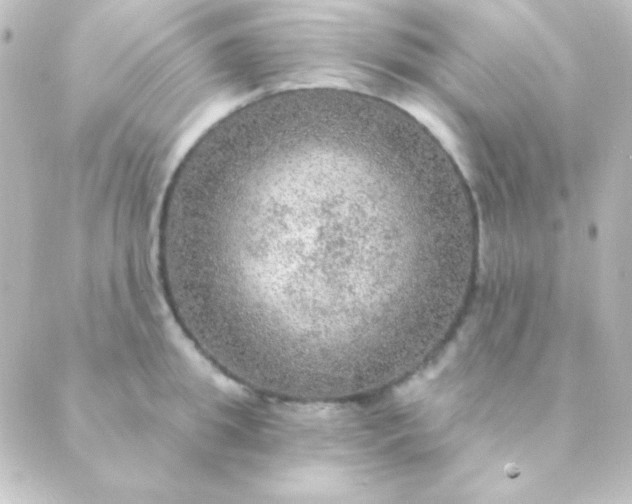 X0000088850949200706221657