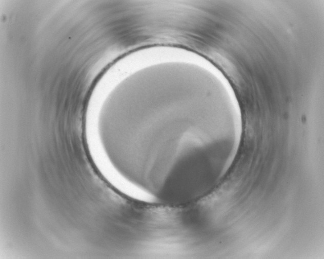 X0000088850950200706221657