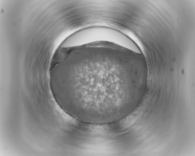 X0000088850951200706221657