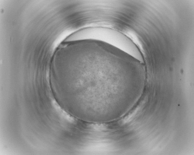 X0000088850952200706221657