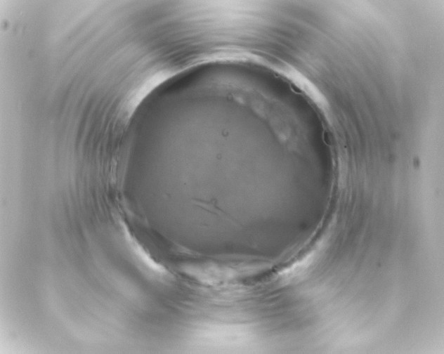 X0000088850953200706221657