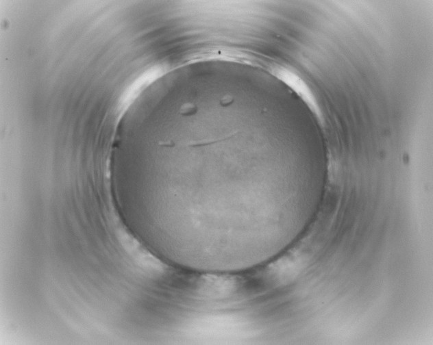 X0000088850954200706221657