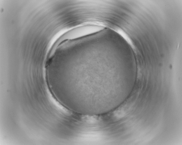 X0000088850955200706221657