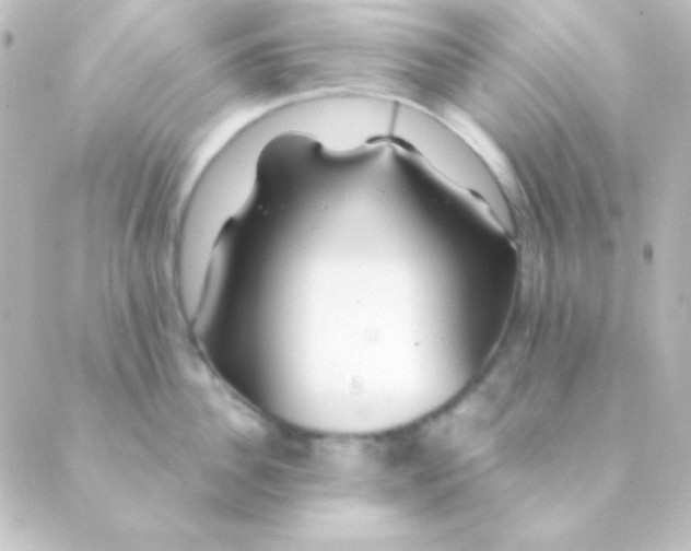 X0000088850956200706221657