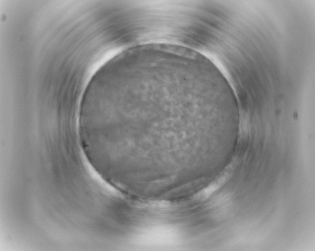 X0000088850957200706221657