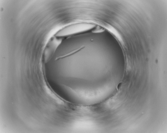 X0000088850958200706221657