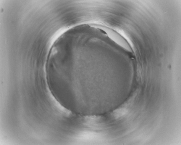 X0000088850959200706221657