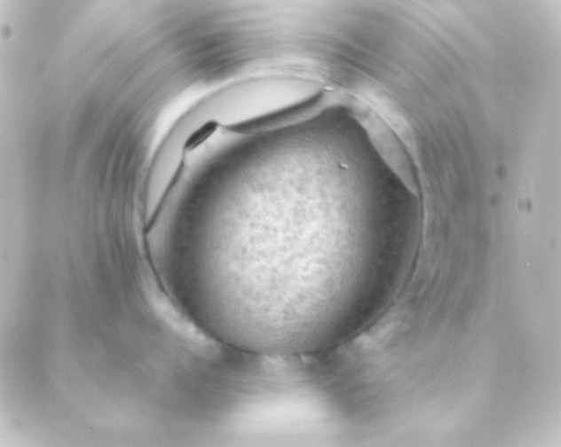 X0000088850960200706221657