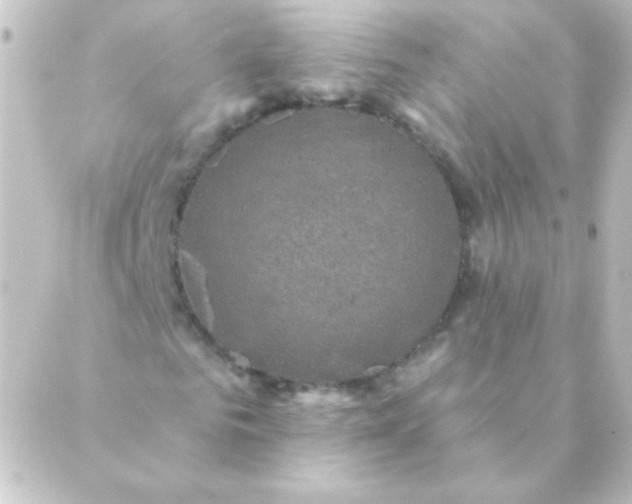 X0000088850961200706221656