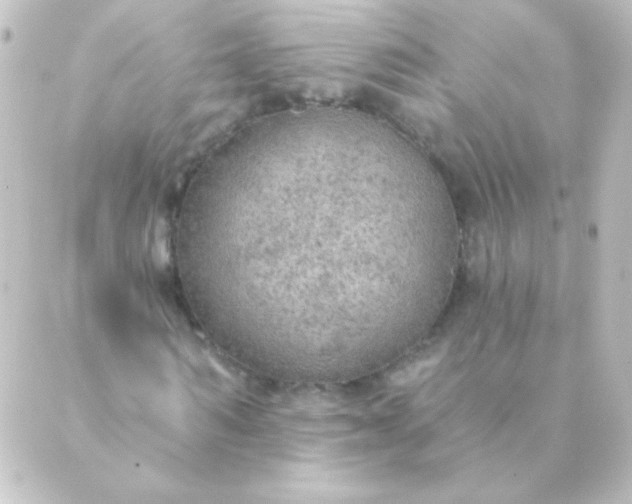 X0000088850962200706221656