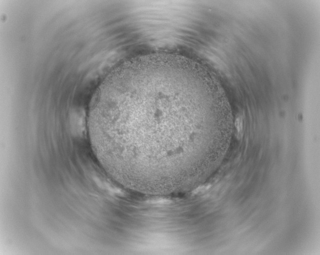 X0000088850963200706221656