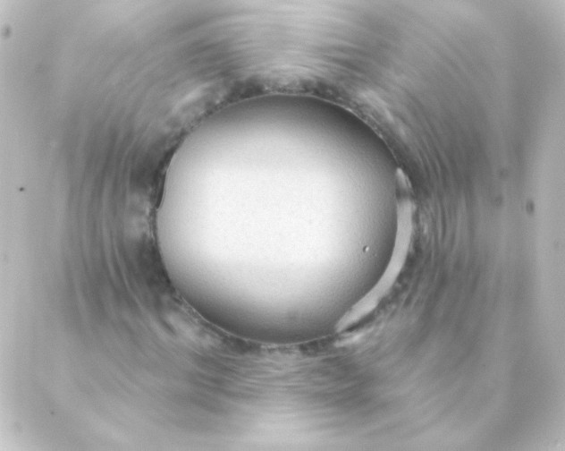 X0000088850964200706221656