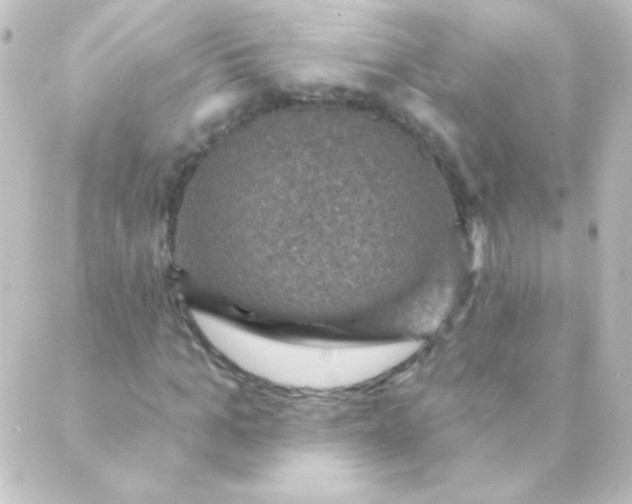 X0000088850965200706221656