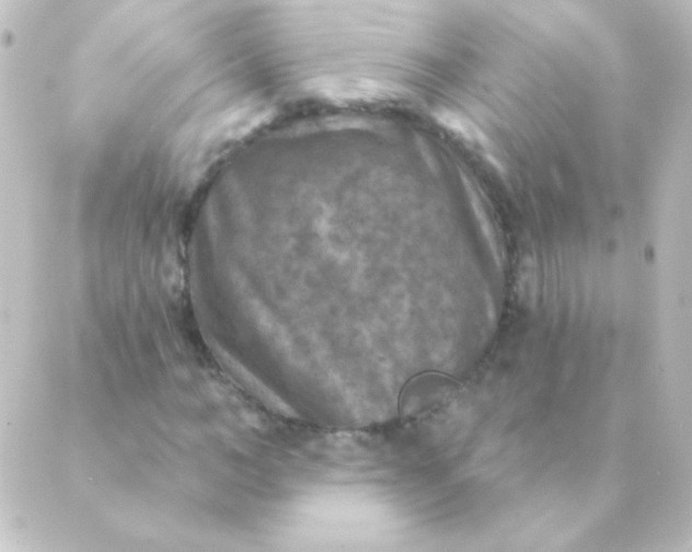 X0000088850966200706221656