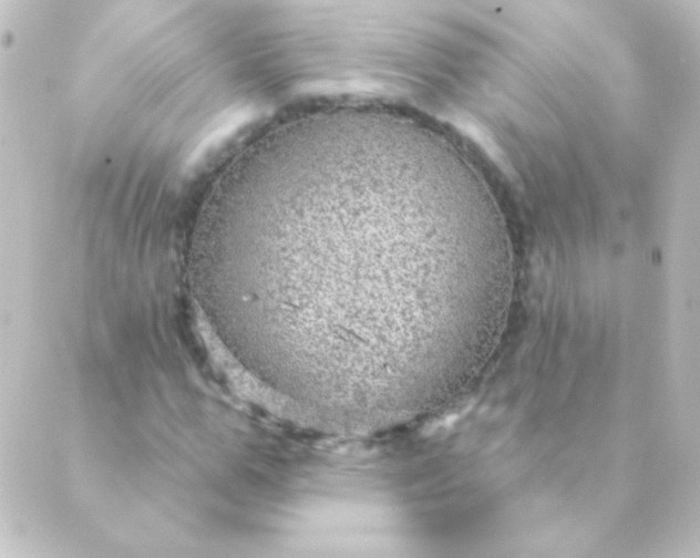 X0000088850967200706221656