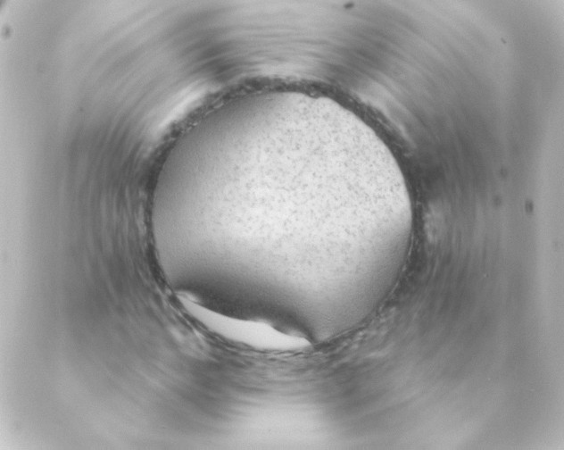 X0000088850968200706221656